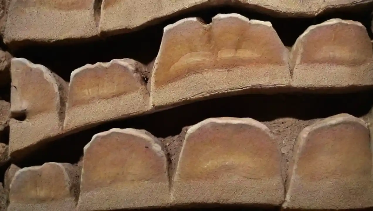 Importancia de las fuentes fósiles en los ecosistemas de Fuentes fósiles en la belleza natural del entorno