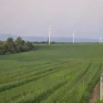 Energías Renovables y Patrimonio Natural: Proteger Ambos