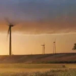 Energía renovable como reemplazo del petróleo: realidad o ficción