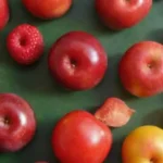 Beneficios de la alimentación sostenible para el planeta