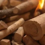 Biomasa: aprovechamiento energético de la madera