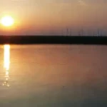 Energías limpias y su vínculo con el cambio climático: Reflexiones