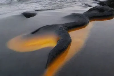 Oil spills: impacto ambiental y dónde suceden