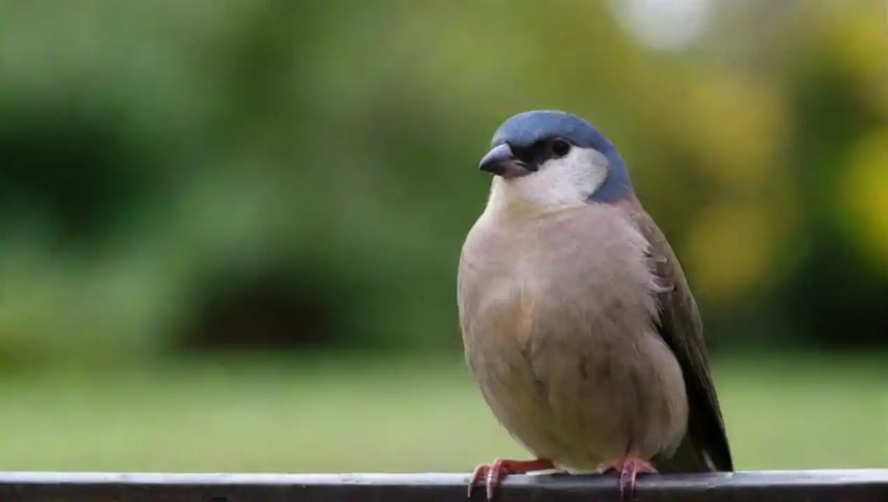 Efectividad de medidas contra el impacto en aves