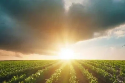 La transición energética hacia un futuro limpio y verde