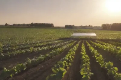 Huertos solares: combinación de agricultura y energía