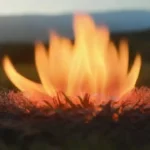 Gremios y asociaciones en el ámbito de energía termosolar