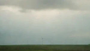 Impacto ambiental de los parques eólicos en la naturaleza