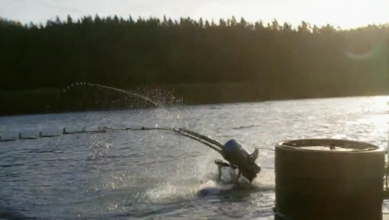 Efectos de la energía hidráulica en la pesca local de Energía hidráulica y su impacto en la pesca local