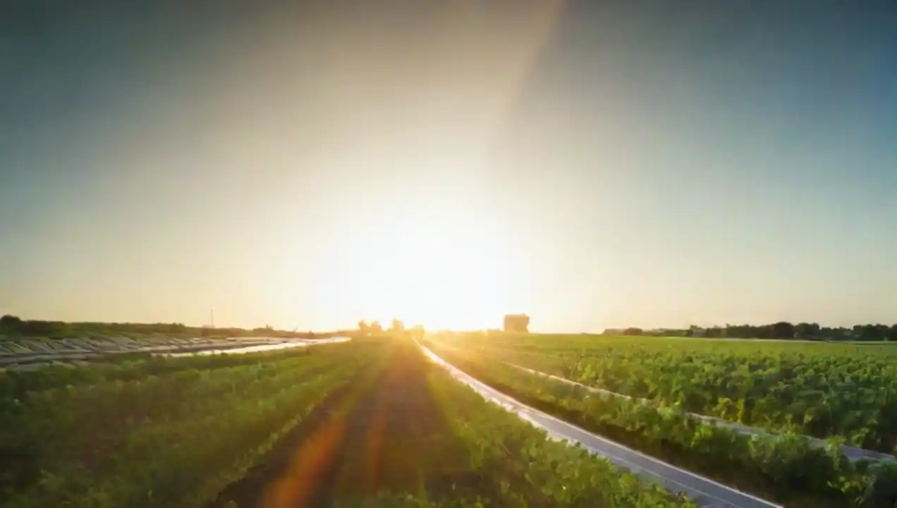 Energía solar y sostenibilidad: Un mundo verde