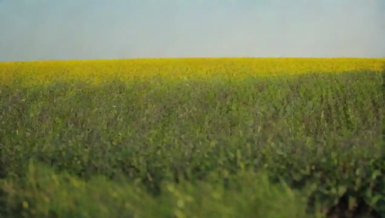 Bioenergía: Un enfoque natural para la energía limpia
