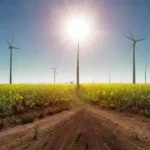 La contribución de las energías renovables a la eficiencia global