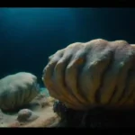 Exploración de recursos fósiles en el océano profundo