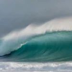 Energía de las olas: educación y sensibilización ambiental