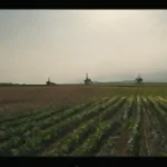 Prácticas diarias para reducir la demanda de carbón