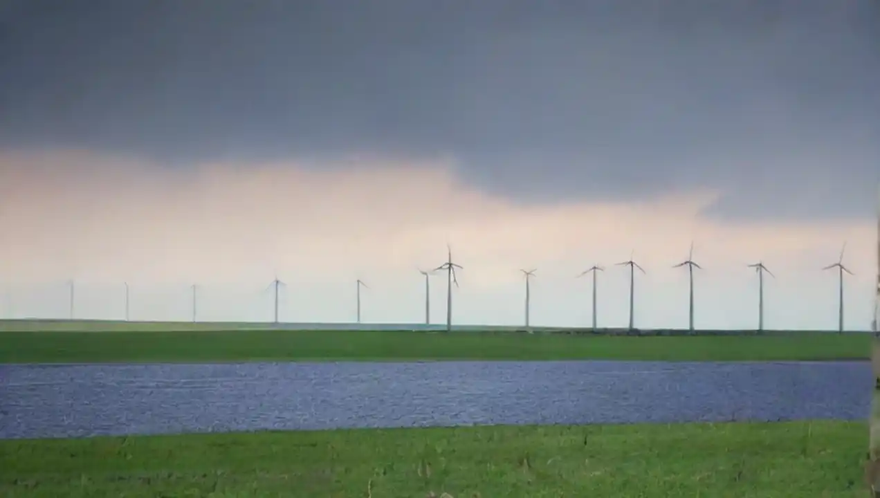 Políticas de energía renovable de Políticas para la descarbonización de la economía