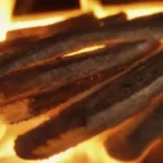 Biomasa en el calor y la electricidad: aplicaciones pràcticas