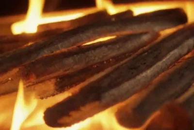 Biomasa en el calor y la electricidad: aplicaciones pràcticas