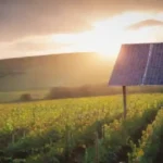 Cómo compartir experiencias en energías renovables