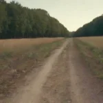 Aprendizaje e iniciativa: camino a la sostenibilidad