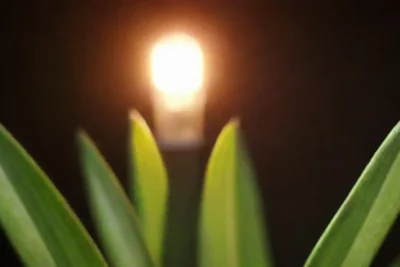 Financiamiento para proyectos de energía limpia y verde