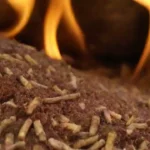 Biomasa como solución para el calentamiento global