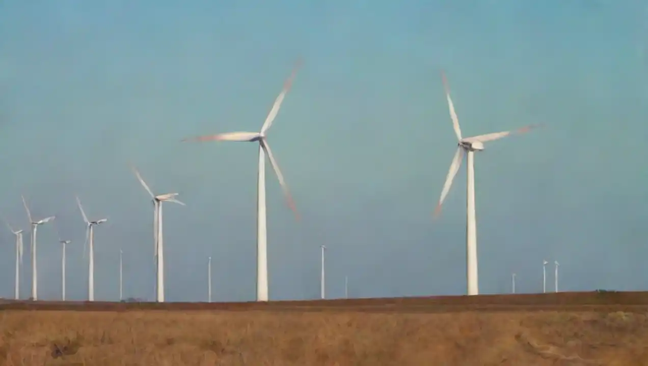 Mito 2: Las turbinas eólicas son perjudiciales para la fauna de Mitos sobre la energía eólica desmentidos completamente