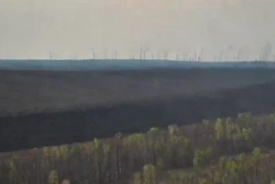 Reforestación y compensación de emisiones en la industria del carbón