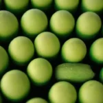 Biocombustibles: alternativa ecológica a los fósiles