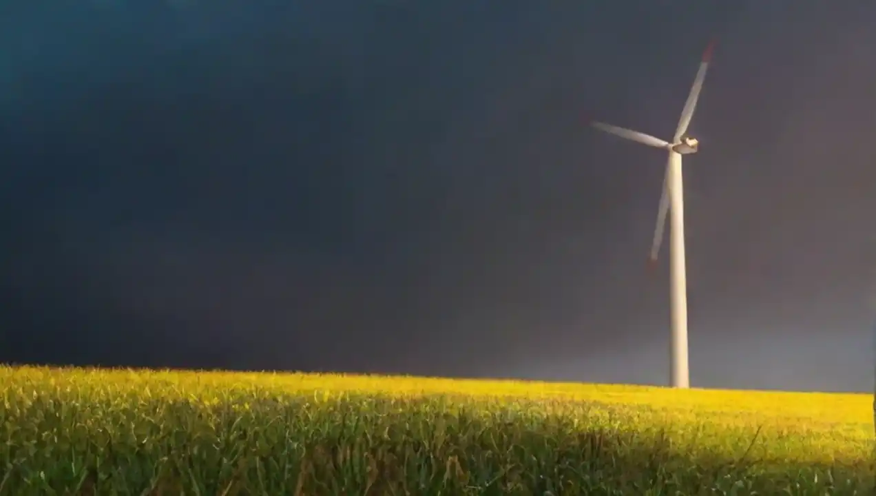 Experiencia práctica: participación en energías limpias