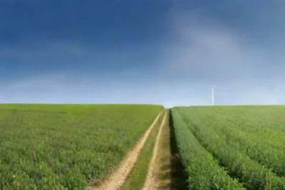 Percepción pública de la energía convencional versus renovables